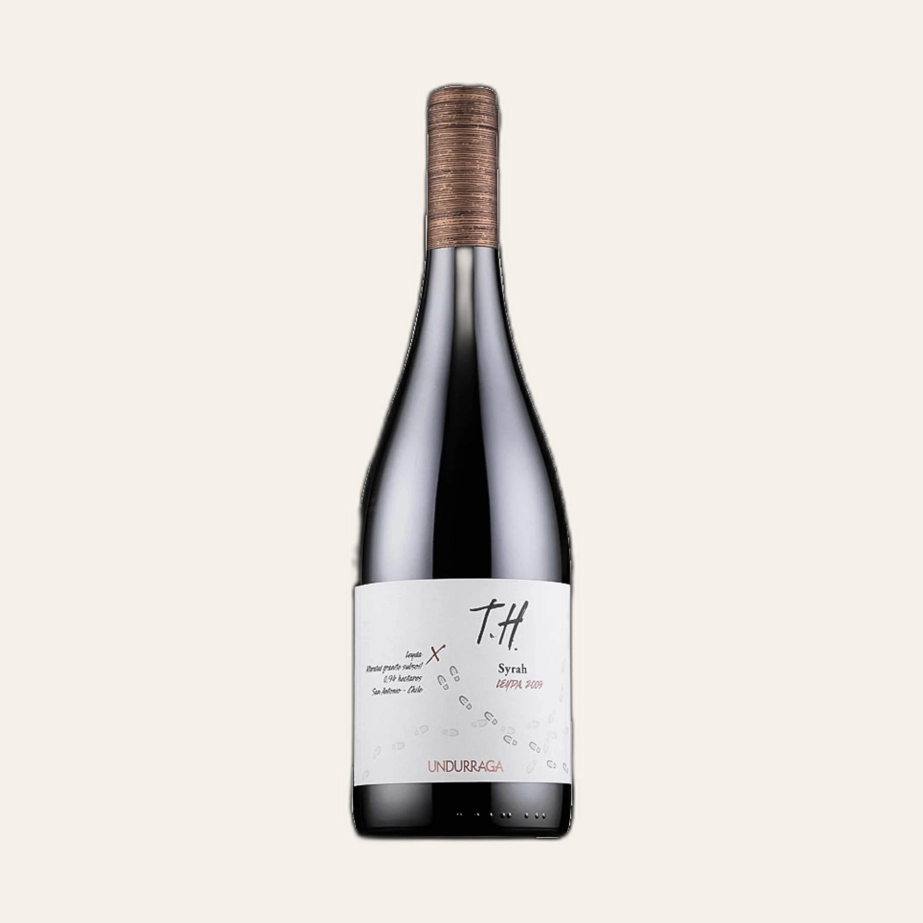 Rượu Vang Đỏ Chile T.H Syrah
