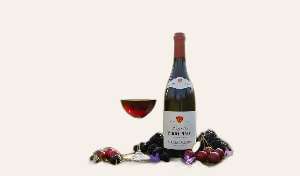 F.Chauvenet La Jolie Pinot Noir Vin De France