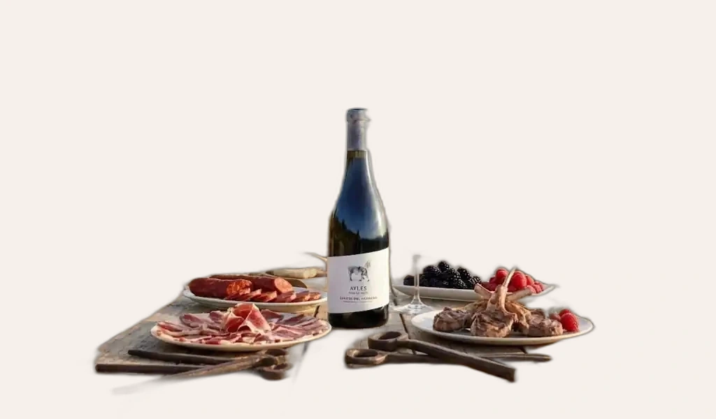 Ayles Vino de Pago Cuesta Del Herrero