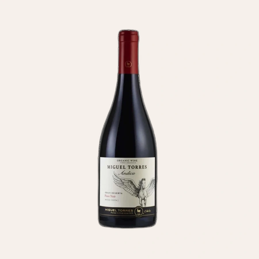 Rượu Vang Đỏ Chile Miguel Torres Andica Gran Reserva Pinot Noir