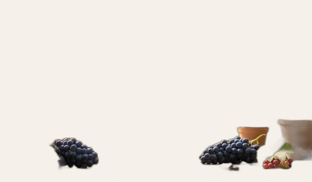 Borie Manoux Chateau La Croix du Casse 2015