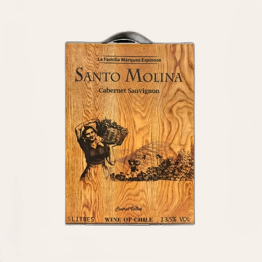 Rượu Vang Bịch Chile Santo Molina Cabernet Sauvignon 5000ml