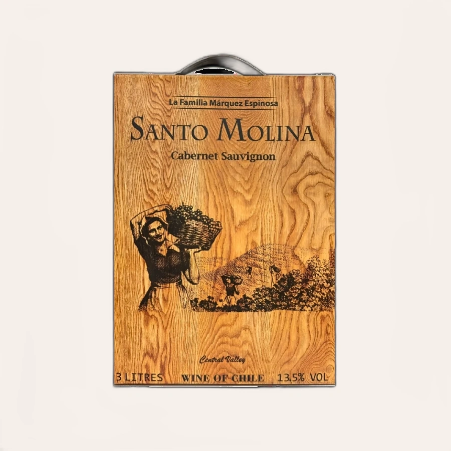 Rượu Vang Bịch Chile Santo Molina Cabernet Sauvignon 3000ml