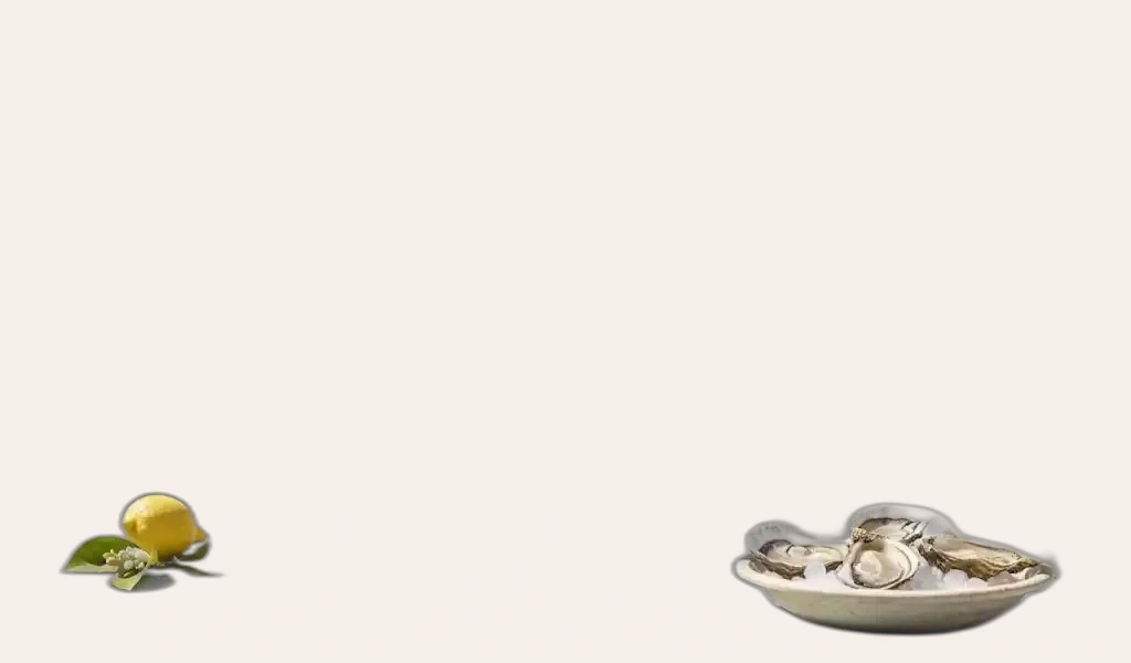 Palmer & Co Blanc de Blancs 1.5L