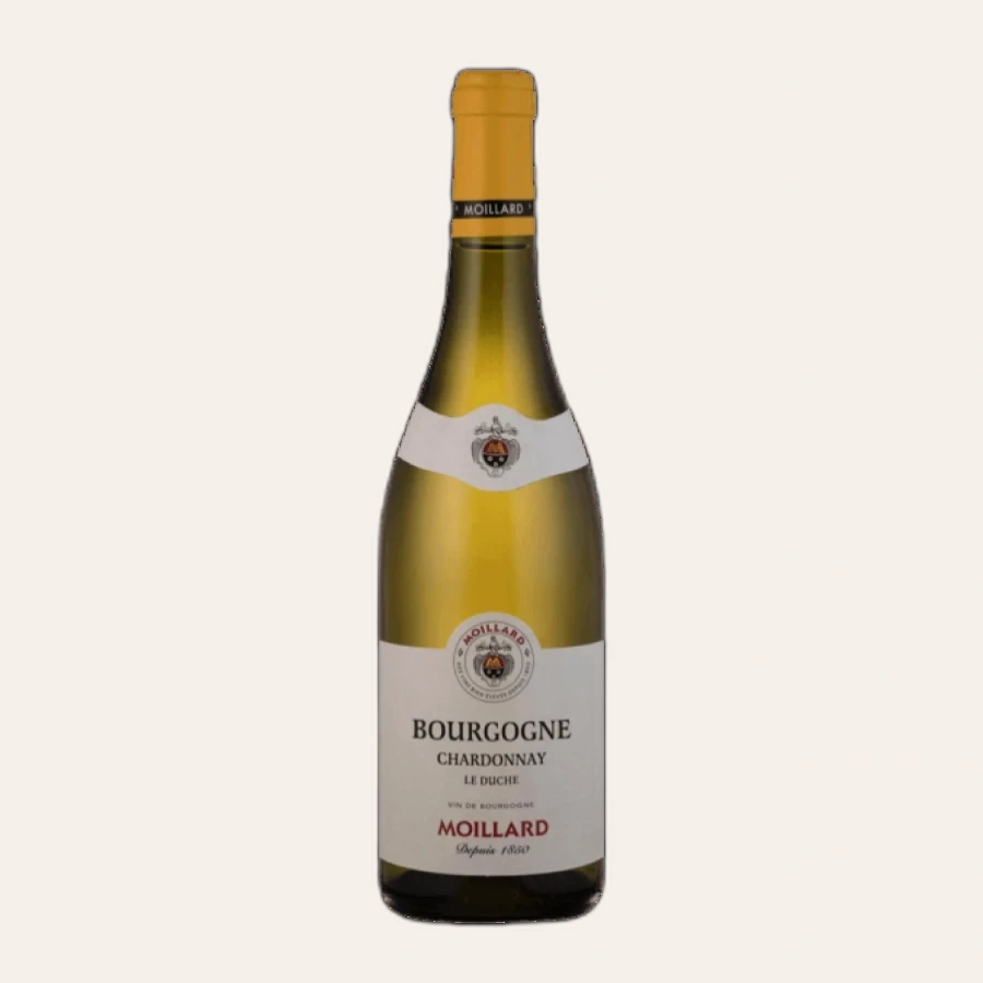 Rượu Vang Trắng Pháp Moillard Bourgogne Chardonnay