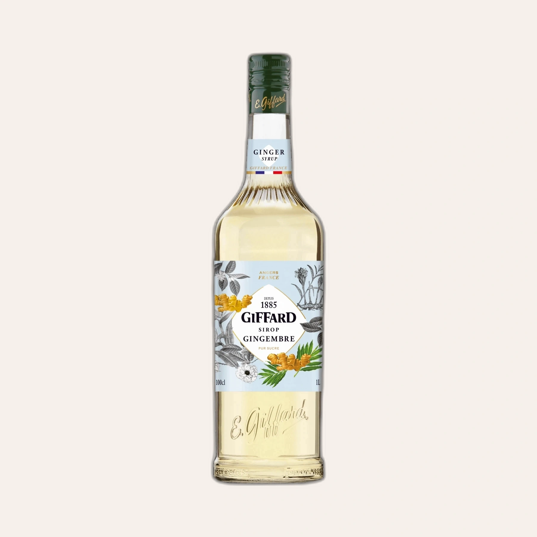 Syrup Pháp Gừng Giffard Ginger