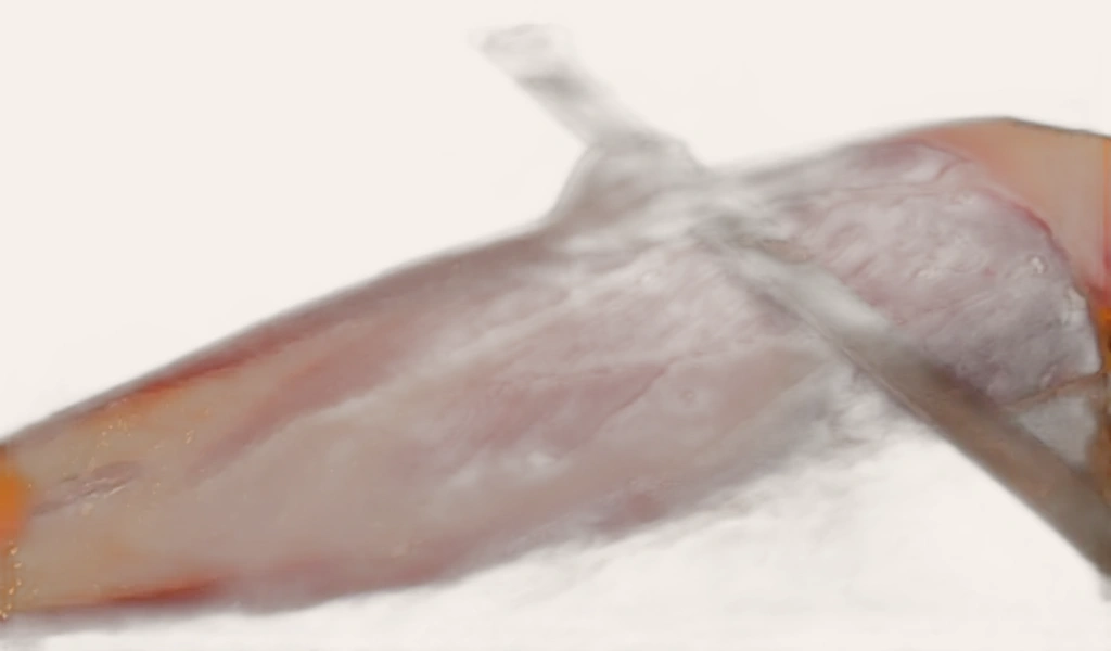 Espana Jamon De Bellota Thuần Chủng 100% 7-8KG