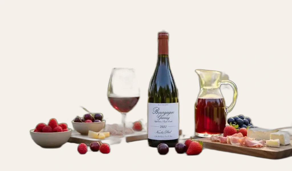 Nicolas Potel Bourgogne Gamay
