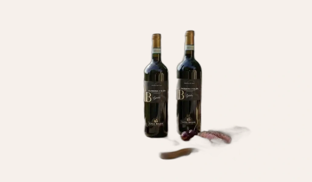 Luca Bosio Barbera d'Alba DOC Egidio