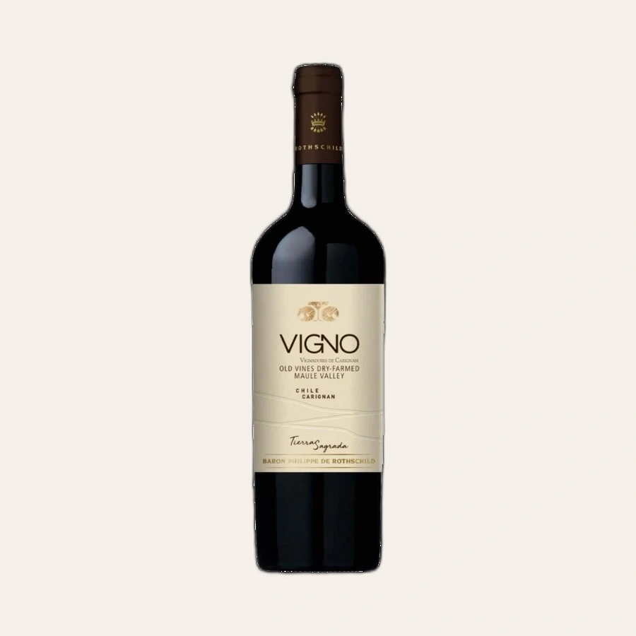 Rượu Vang Đỏ Chile Mapu Tierra Sagrada Carignan Vigno