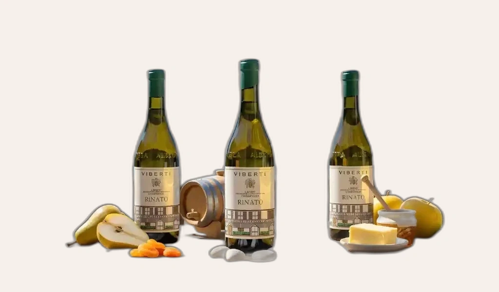 Viberti Langhe Chardonnay Rinato DOC Tròn Trịa