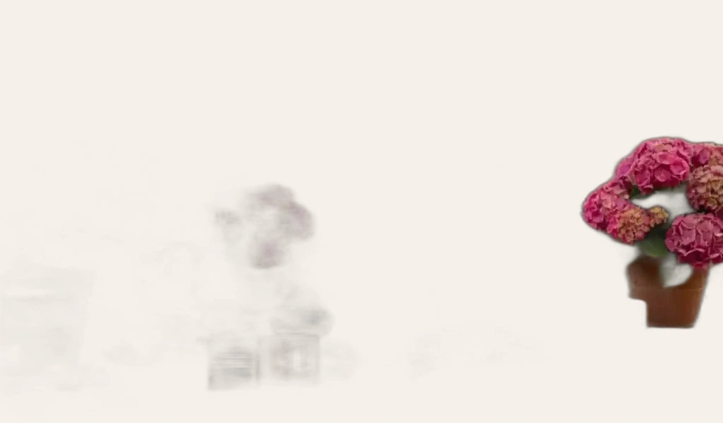 Borie Manoux Chateau Lynch Moussas 5th Grand Cru Classe 2012