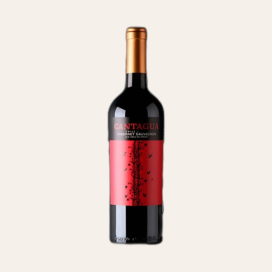 Rượu Vang Đỏ Chile Cantagua Cabernet Sauvignon 2020