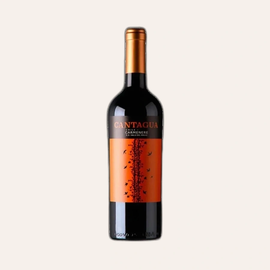 Rượu Vang Đỏ Chile Cantagua Carmenere