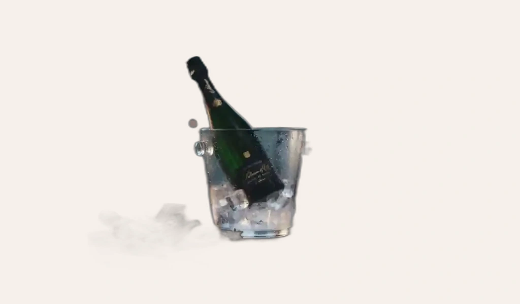 Palmer & Co Blanc de Noirs