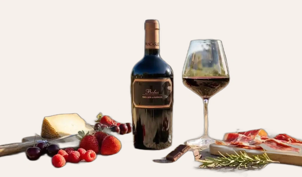 Rượu Vang Đỏ Tây Ban Nha Hispano Suizas Bobos Finca Casa La Barracha