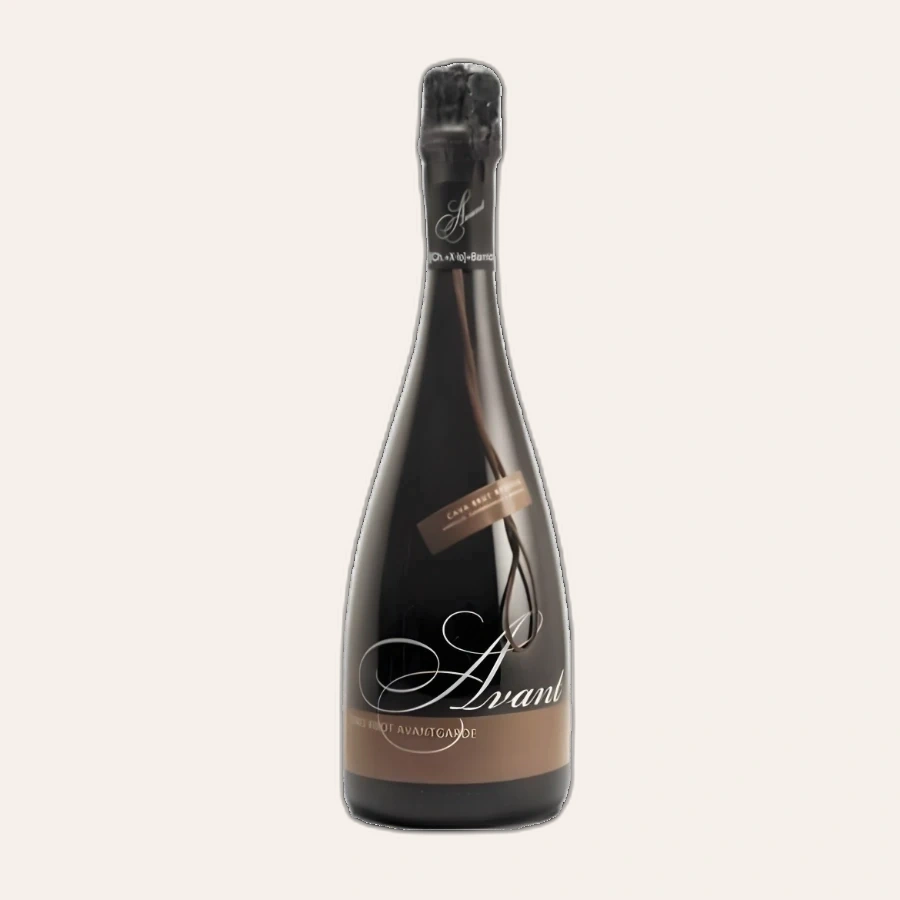 Rượu Sparkling Tây Ban Nha Cava Avant Brut Reserva Barrica Vintage