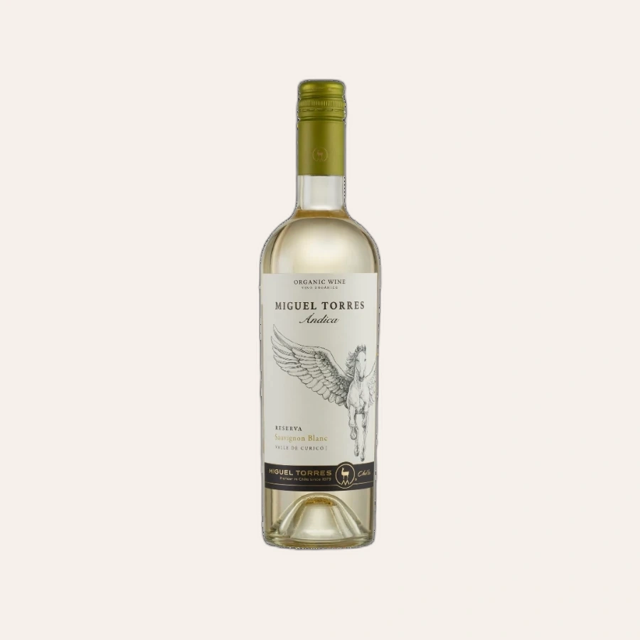 Rượu Vang Trắng Chile Miguel Torres Andica Reserva Sauvignon Blanc