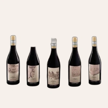 5 BOTTLES AMARONE COLLECTION: Castelrotto, Mazzurega, Monte, San Rocco, Villa