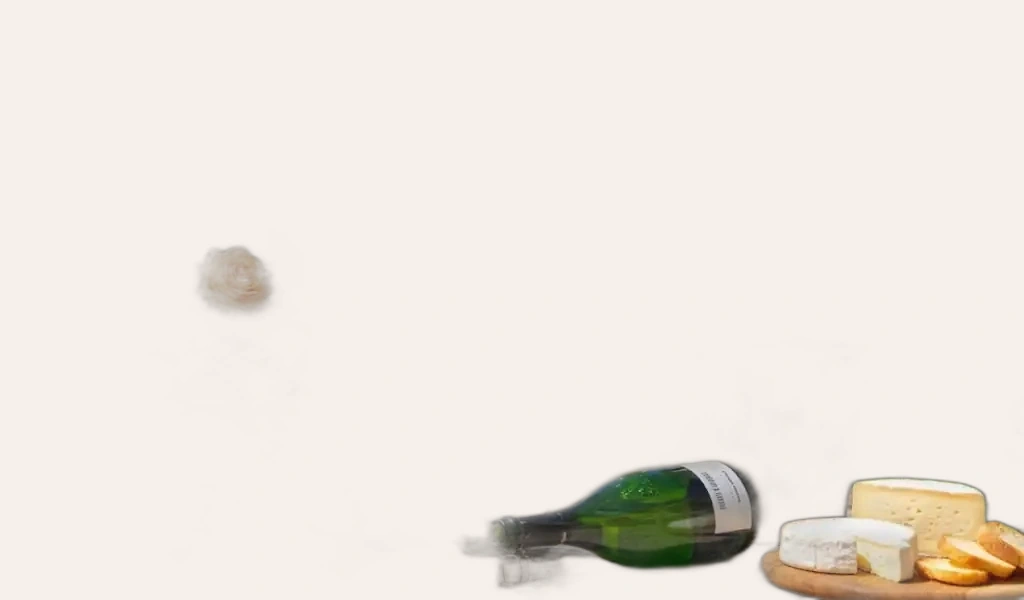 Rượu Champagne Pháp Pierre Gimonnet Special Club Grand Cru Oger 2016