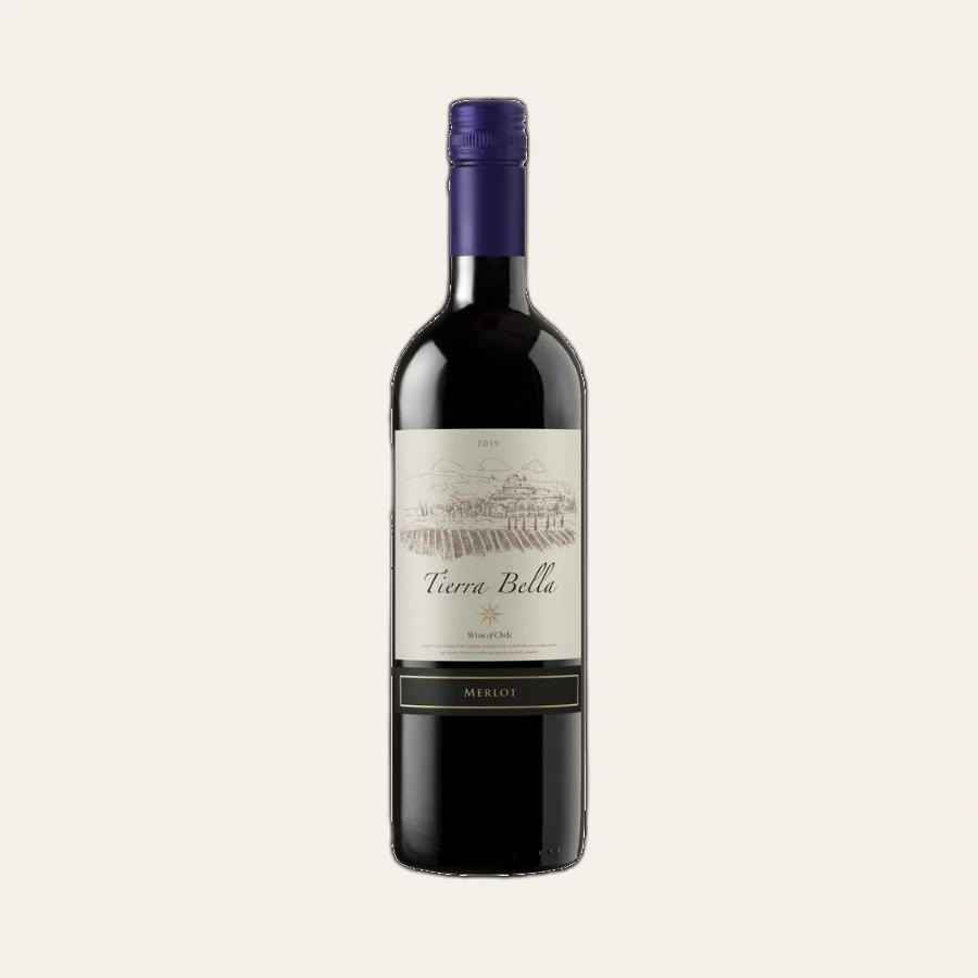 Rượu Vang Đỏ Chile Tierra Bella Merlot