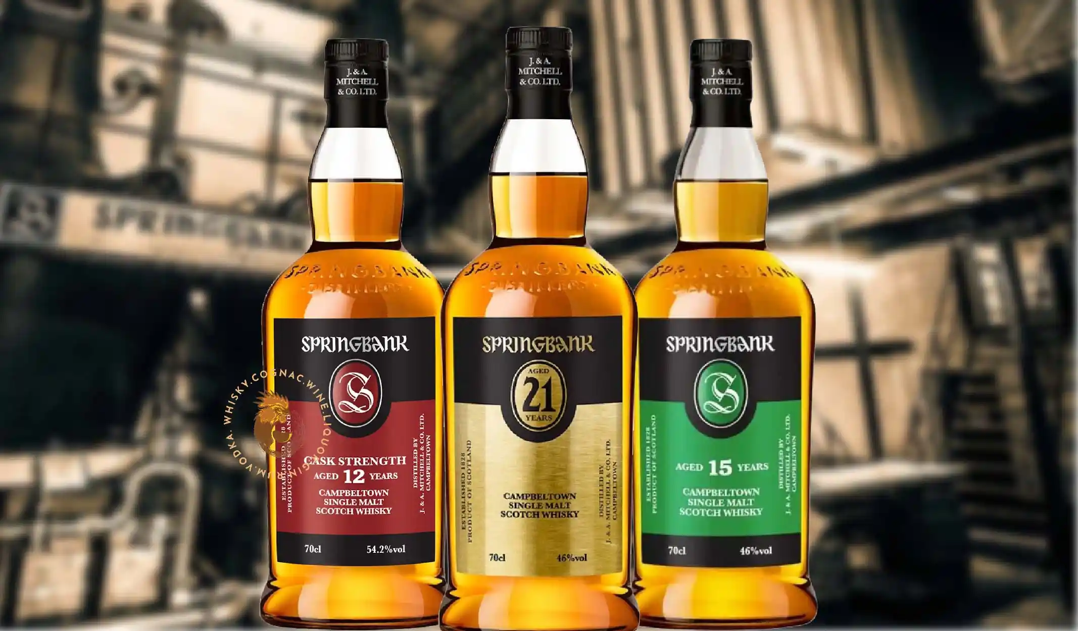 10 Điều Bạn Cần Biết Về Nhà Máy Chưng Cất Springbank