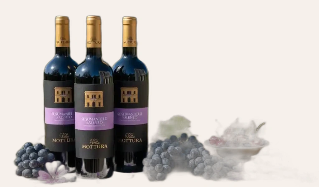 Villa Mottura Susumaniello Del Salento IGT Hài Hòa