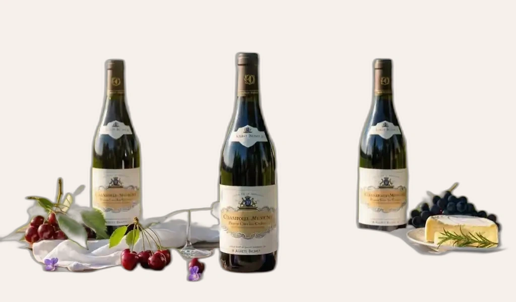 Albert Bichot Chambolle Musigny 1er Cru Les Chabiots Tươi Mới