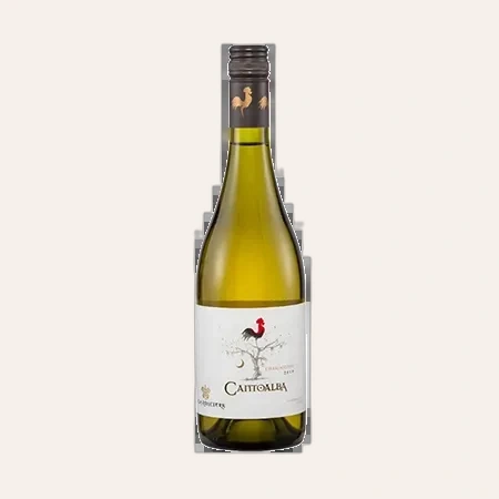 Rượu Vang Trắng Chile Cantoalba Chardonnay 2017