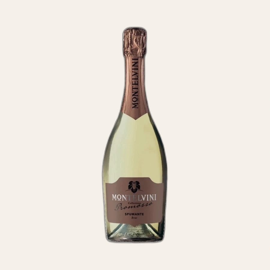 Rượu Sparkling Ý Montelvini Promosso Spumante Brut