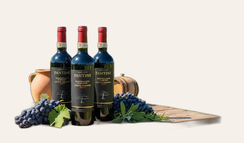 Fantini Montepulciano D'Abruzzo Colline Teramane DOCG 2017 Dai Dẳng