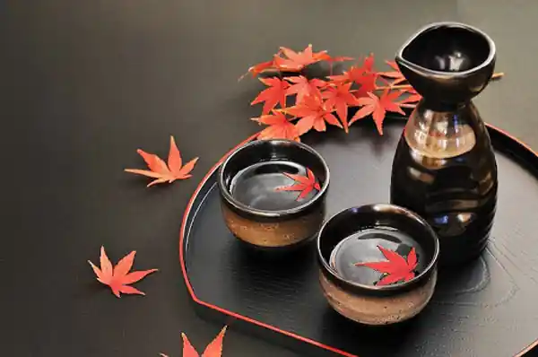 Sake: Hướng Dẫn Cho Người Mới Bắt Đầu