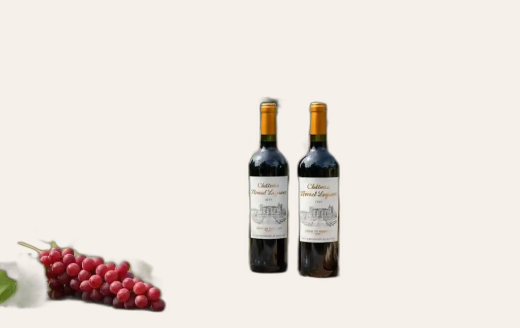 Maison A De Luze Chateau Floreal Laguens Đầy Đặn