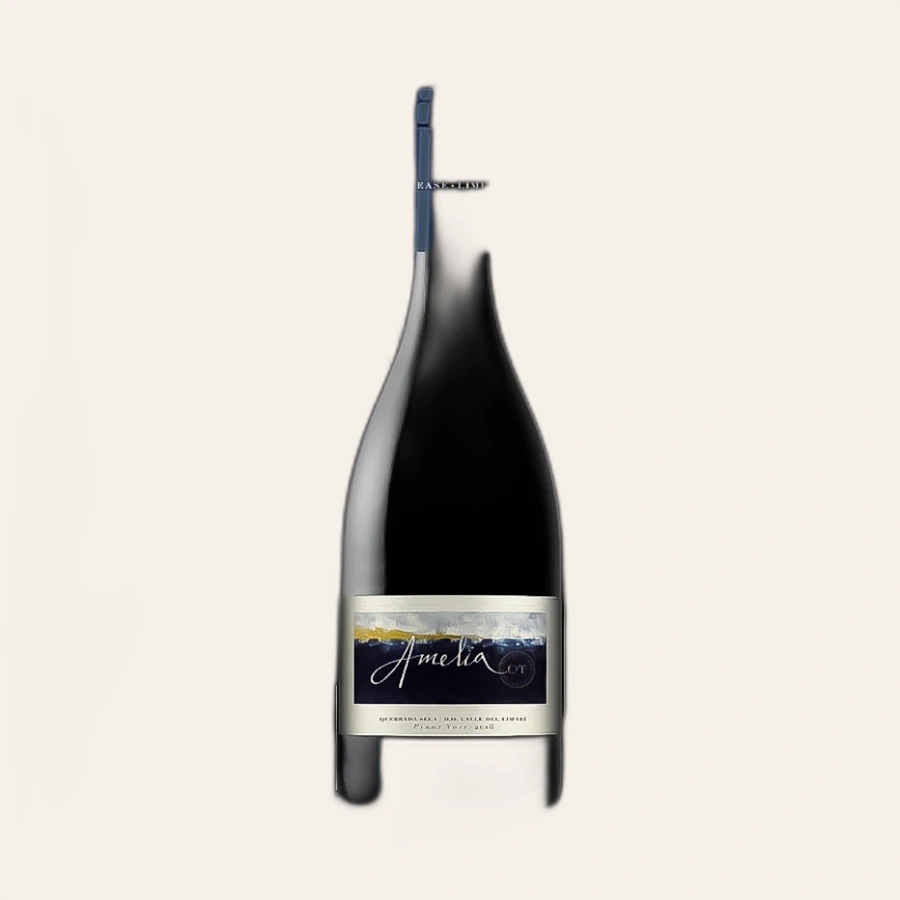 Rượu Vang Đỏ Chile Concha y Toro Amelia Quebrada Seca Pinot Noir