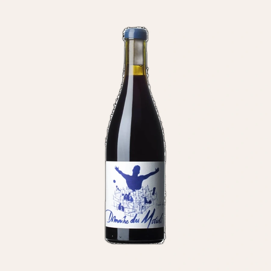 Rượu Vang Đỏ Pháp Domaine Des Moriers Beaujolais Villages