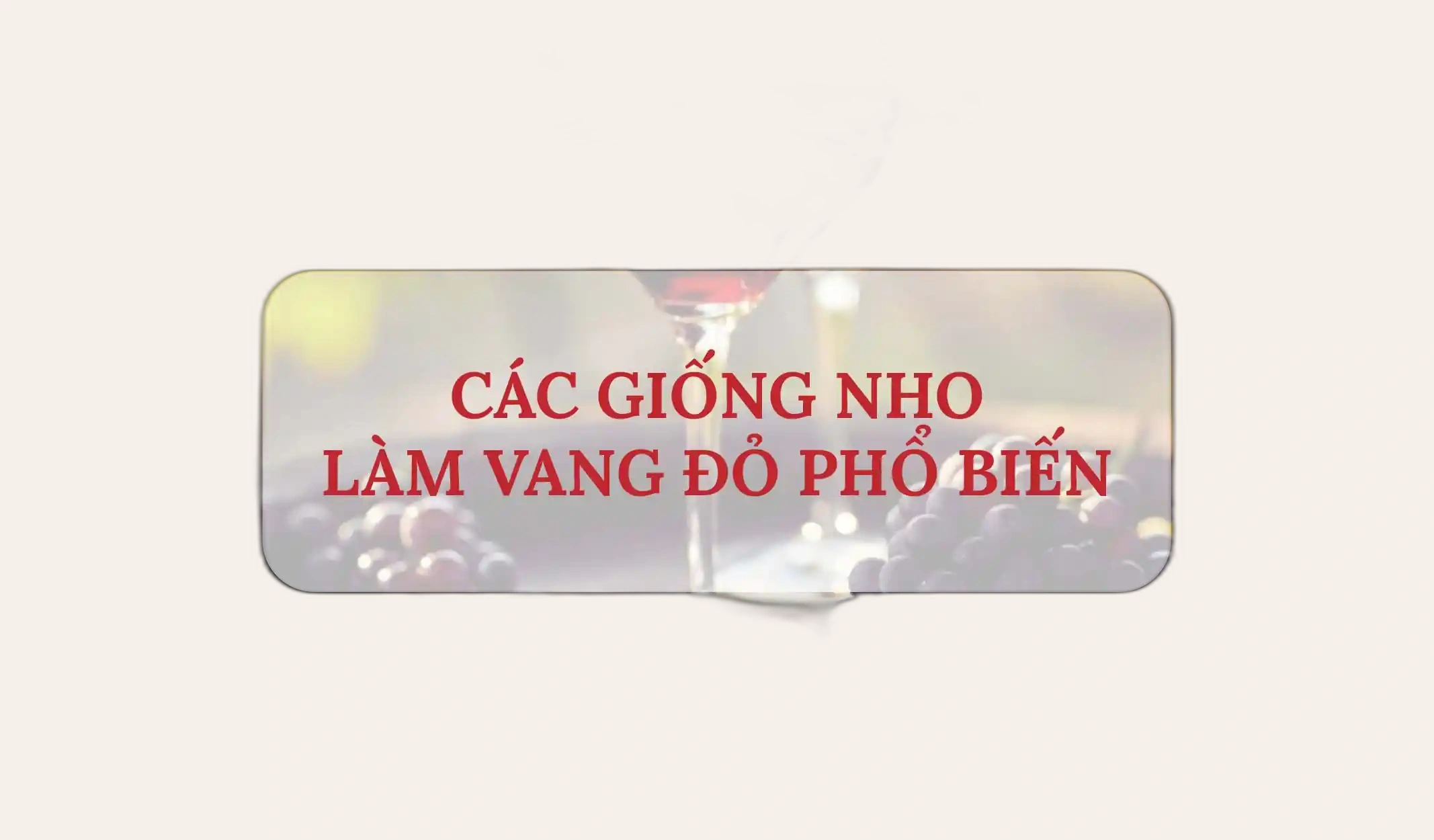 Các Giống Nho Làm Rượu Vang Đỏ Phổ Biến Nhất Và Hương Vị Của Chúng