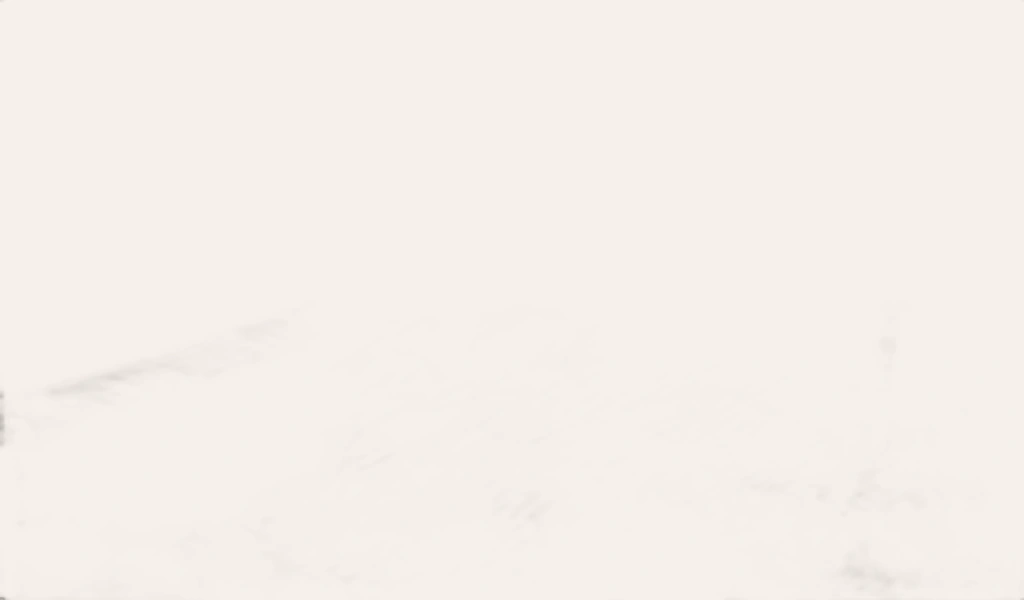  Đùi Heo Muối Brotherfood Paleta Serrana Đùi Trước Chất Lượng