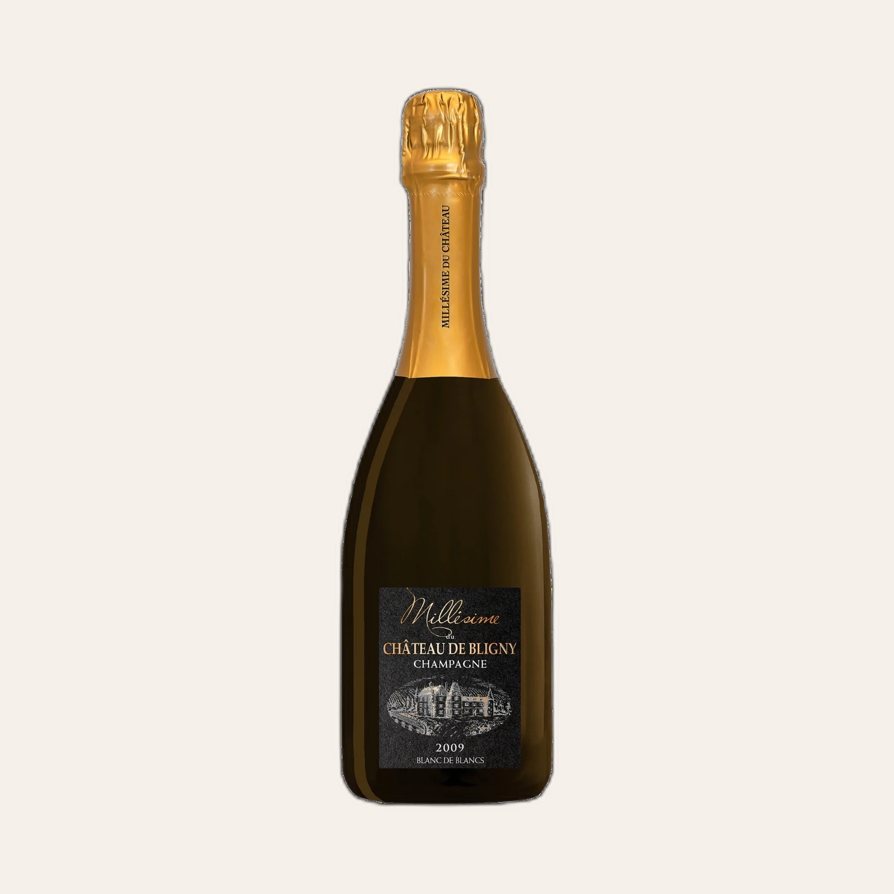 Rượu Champagne Pháp Chateau de Bligny Brut Millesime