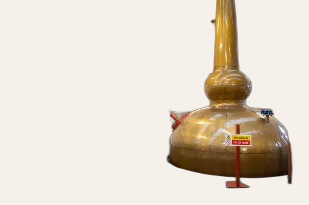 Speyside Distillery Benromach creates virtual whisky tour for fans stuck at  home - Daily Record