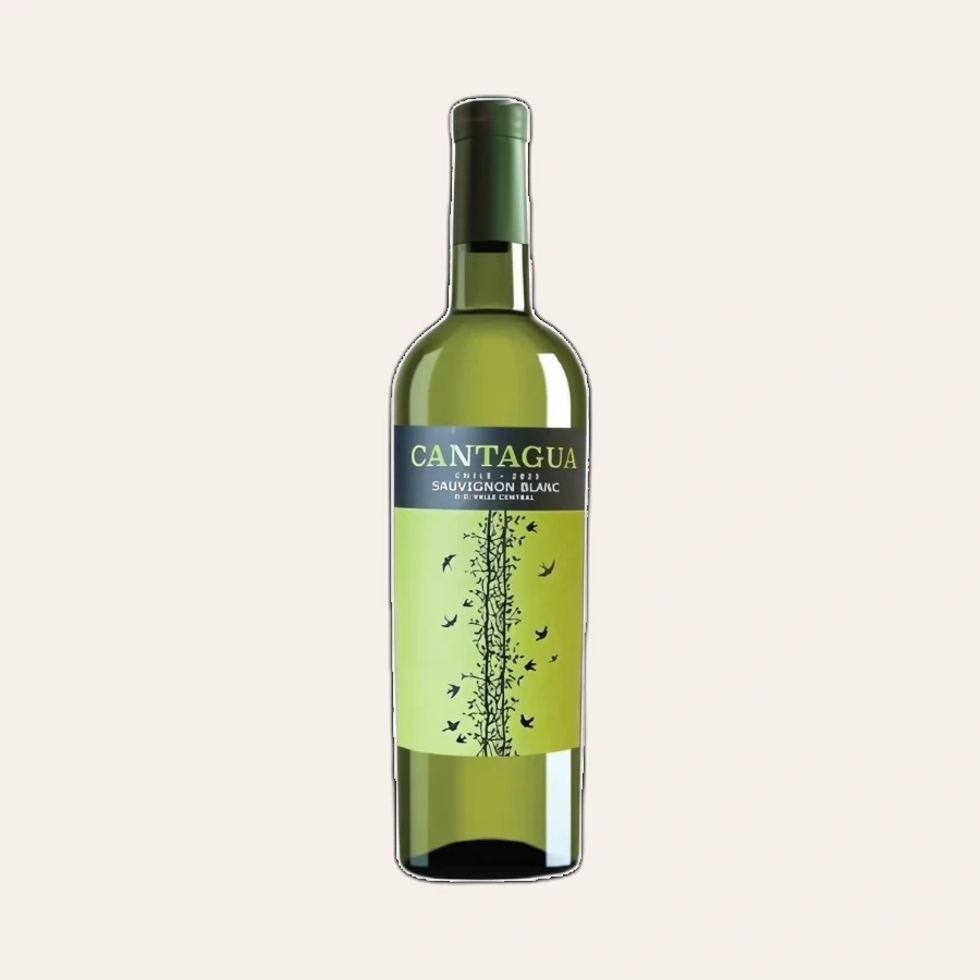 Rượu Vang Trắng Chile Cantagua Sauvignon Blanc 2022