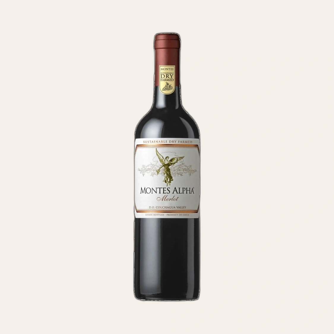 Rượu Vang Đỏ Chile Montes Alpha Merlot