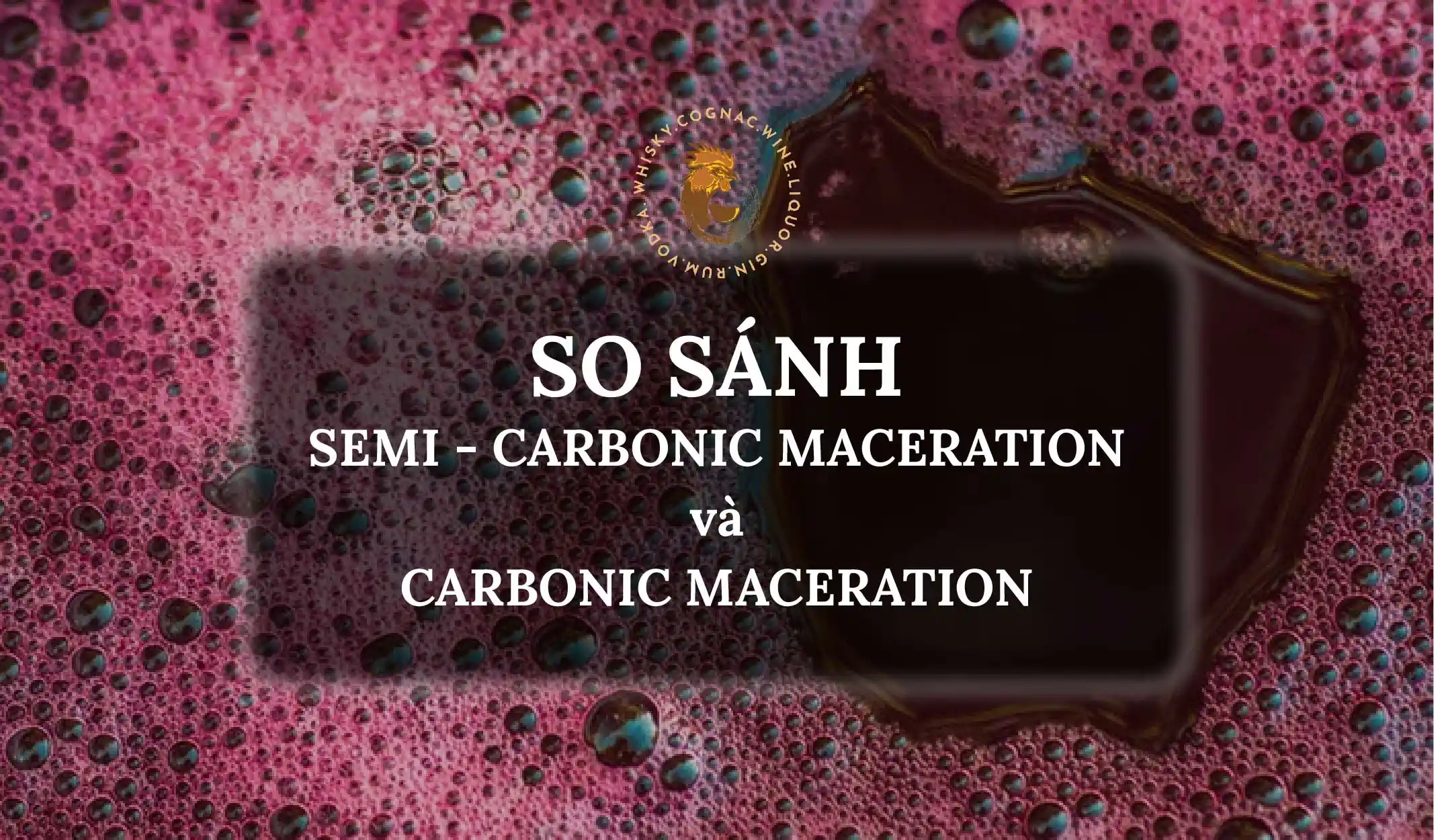 Sự Khác Nhau Giữa 2 Kỹ Thuật: Semi-Carbonic Maceration Và Carbonic Maceration