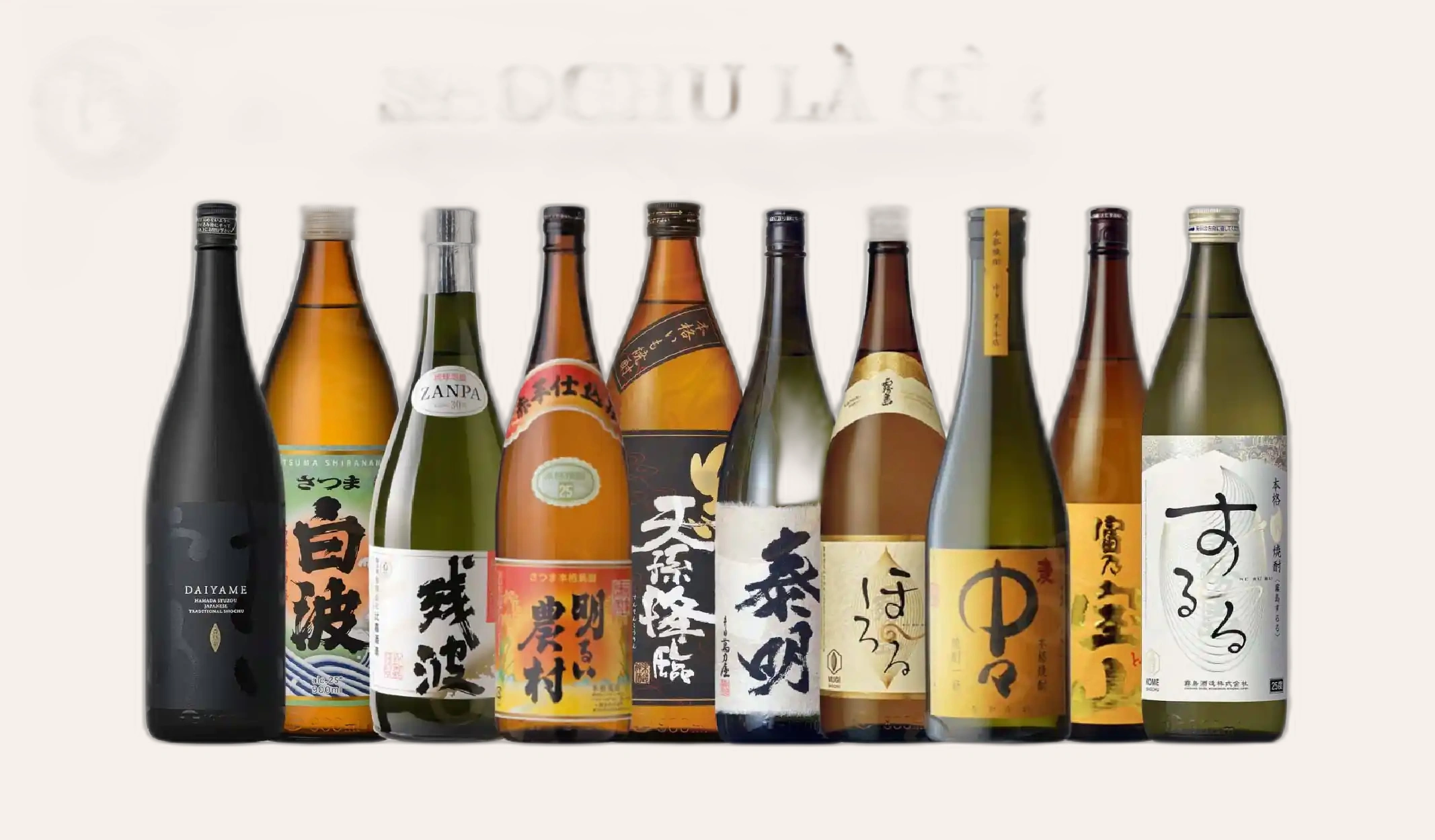 Shochu Là Gì? Các Loại Shochu Phổ Biến Và Cách Thưởng Thức