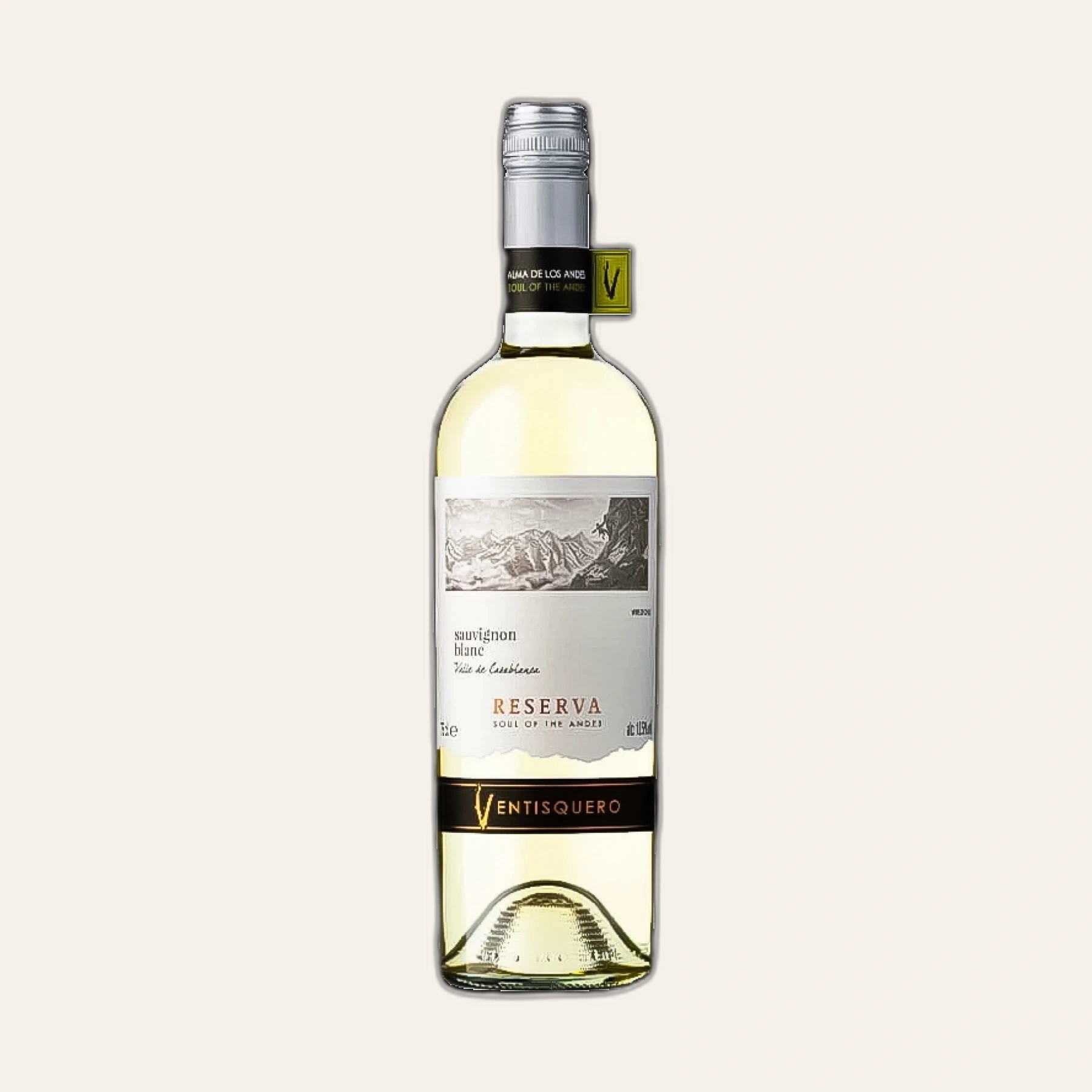 Rượu Vang Trắng Chile Ventisquero Reserva Sauvignon Blanc