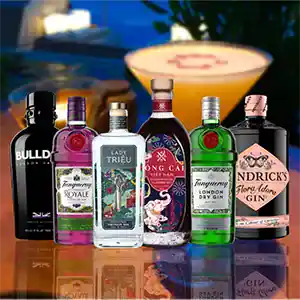 RƯỢU GIN