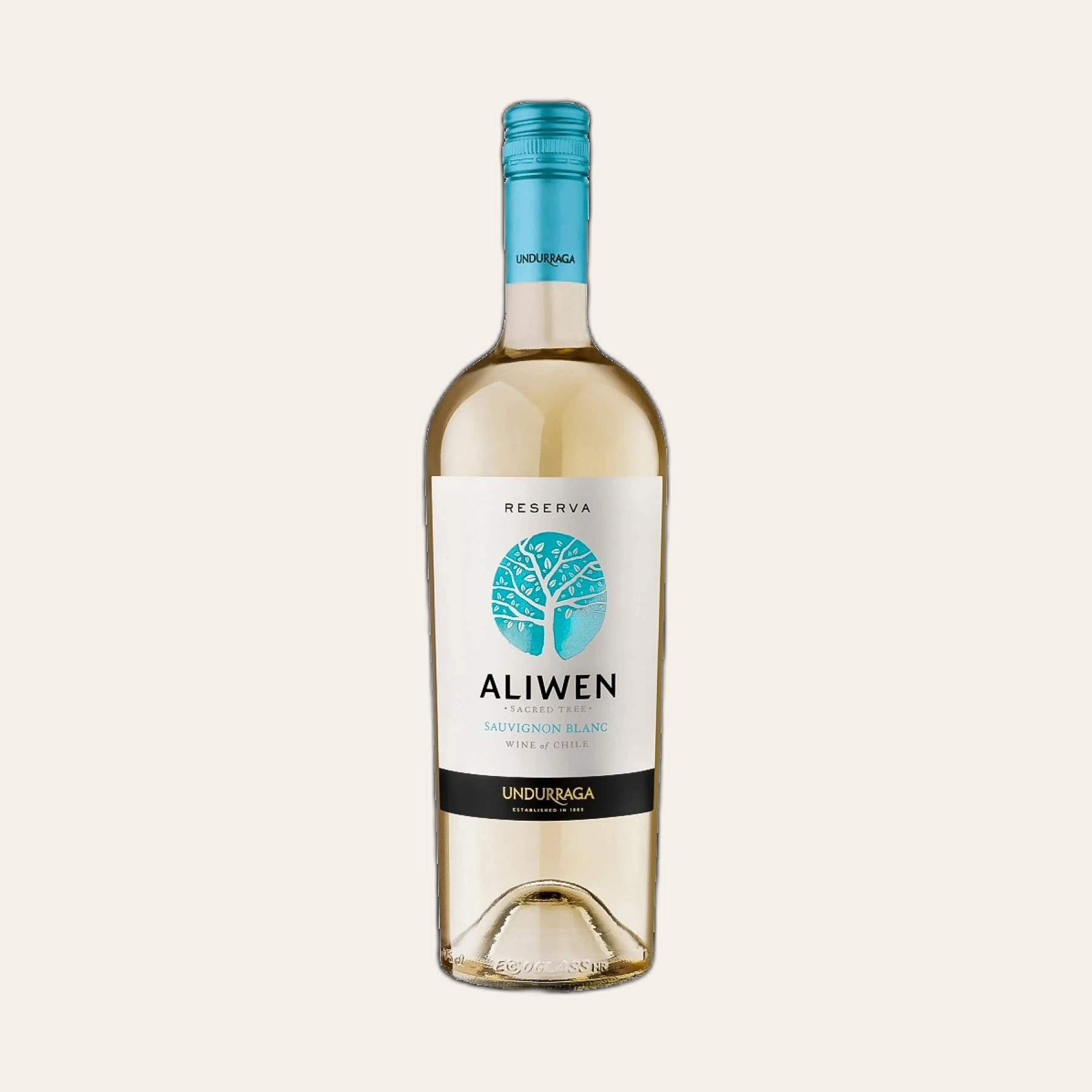 Rượu Vang Trắng Chile Aliwen Reserva Sauvignon Blanc