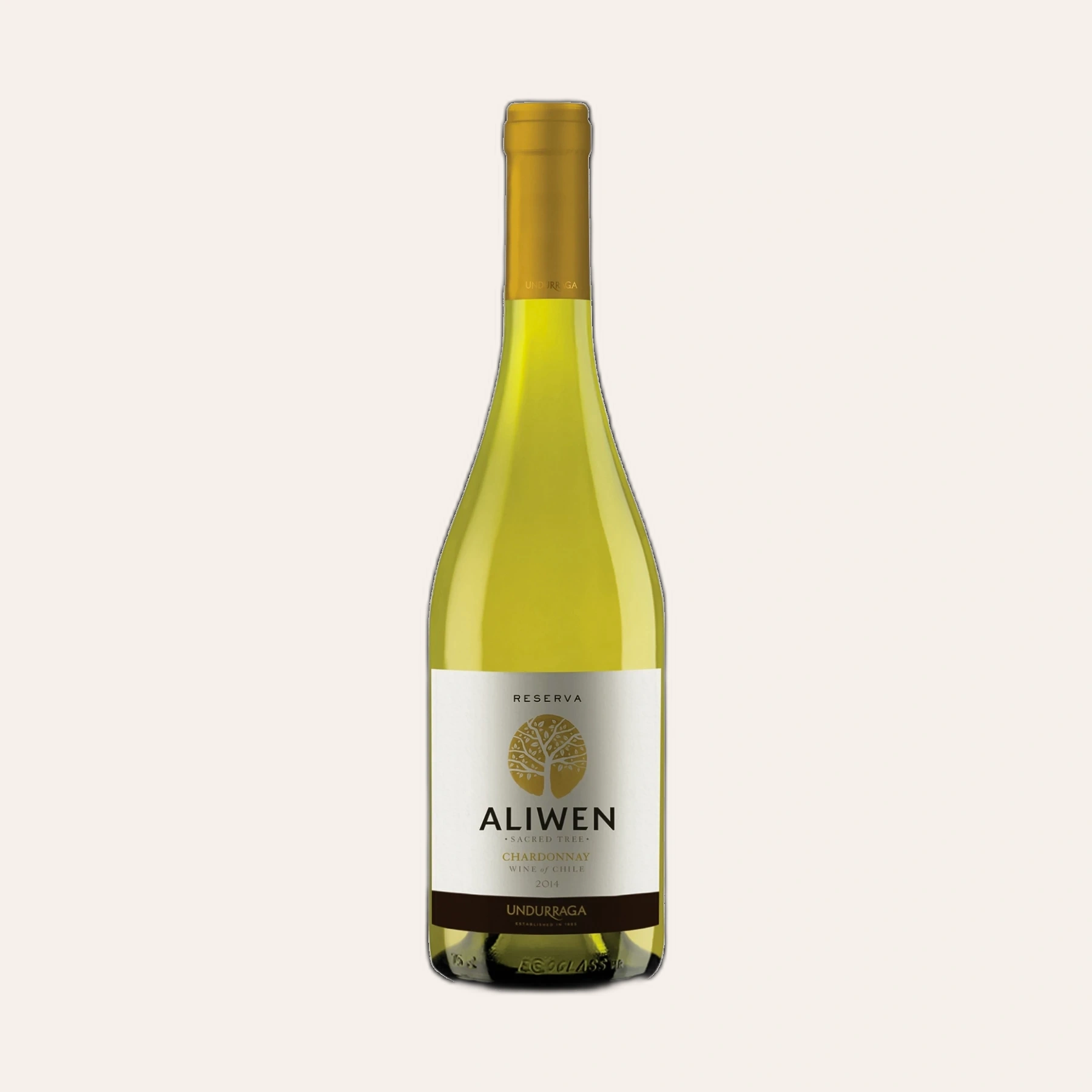 Rượu Vang Trắng Chile Aliwen Reserva Chardonnay