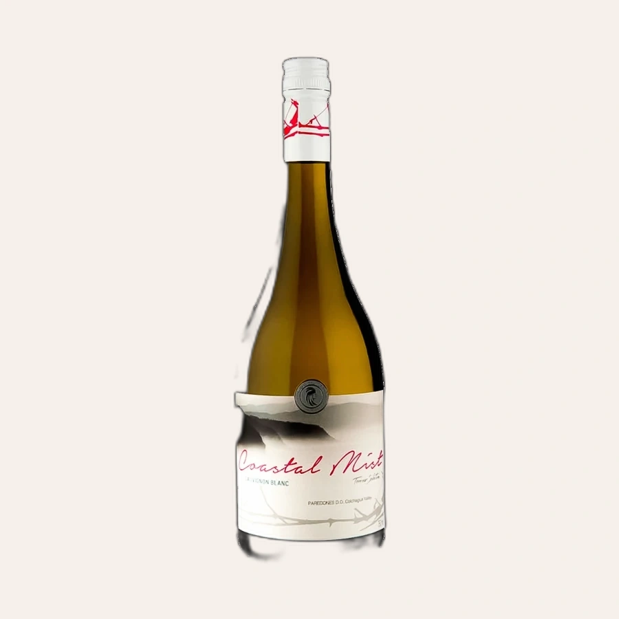 Rượu Vang Trắng Chile Coastal Mist Gran Reserva Sauvignon Blanc