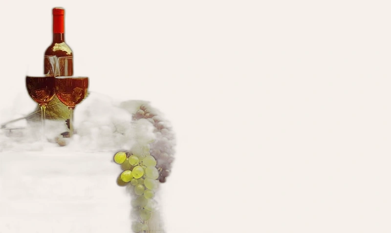 Tuscan Fruits, grapes, tun, wine, fields, road, trees, landscape, italy, HD  wallpaper | Peakpx